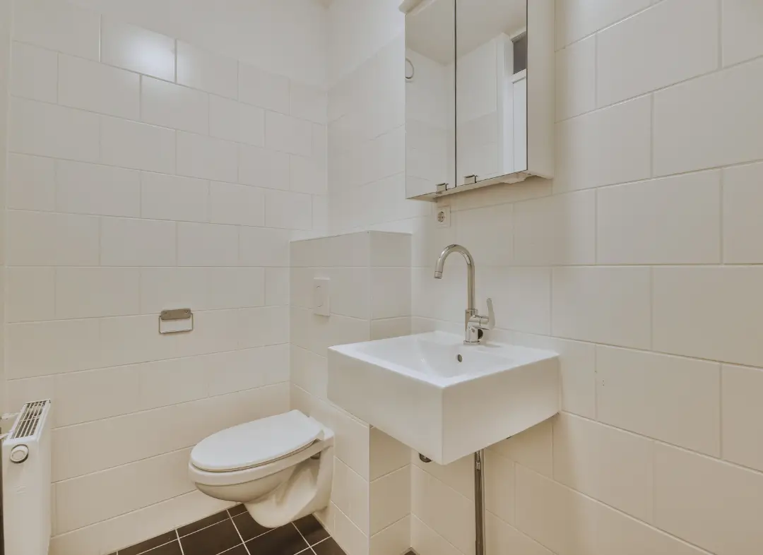 Pose WC Suspendu Fenouillet